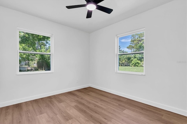 6280 Dr Martin Luther King Jr St S, Saint Petersburg, FL 33705 - photo 16