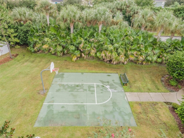 27026 Cool Stream Ln, Wesley Chapel, FL 33544 - photo 41