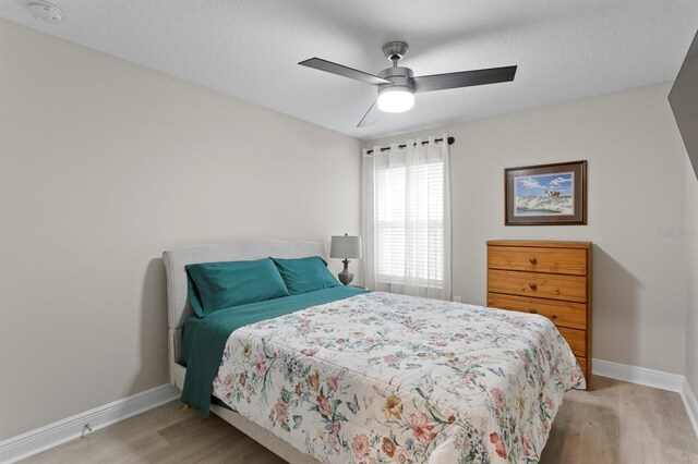 6805 S Englewood Ave, Tampa, FL 33611 - photo 24