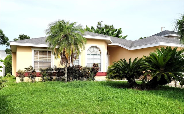 775 Wildflower Dr, Palm Harbor, FL 34683 - photo 3