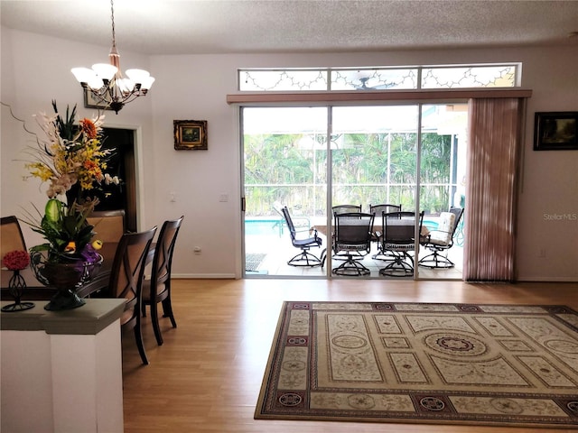 775 Wildflower Dr, Palm Harbor, FL 34683 - photo 10