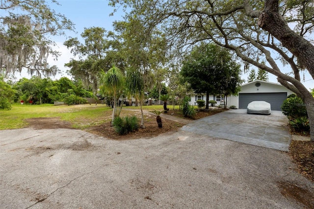 818 Eunice Dr, Tarpon Springs, FL 34689 - photo 4