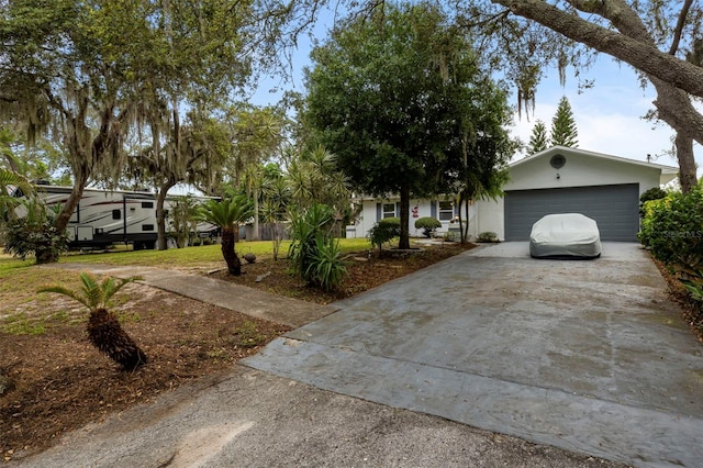 818 Eunice Dr, Tarpon Springs, FL 34689 - photo 5