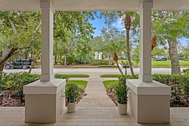 10022 New Parke Rd, Tampa, FL 33626 - photo 3