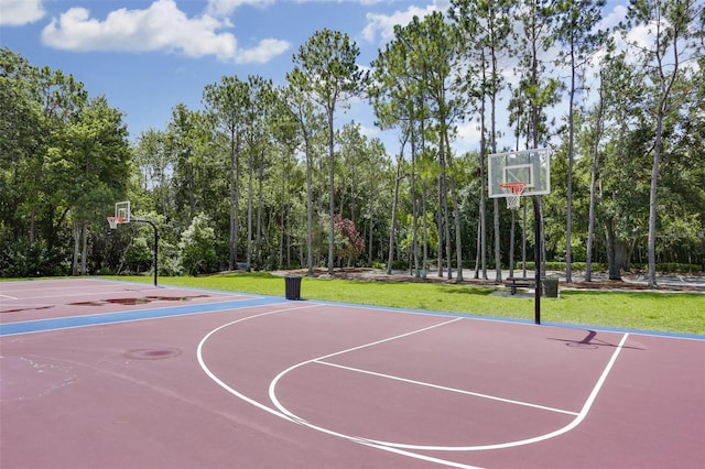 10022 New Parke Rd, Tampa, FL 33626 - photo 91