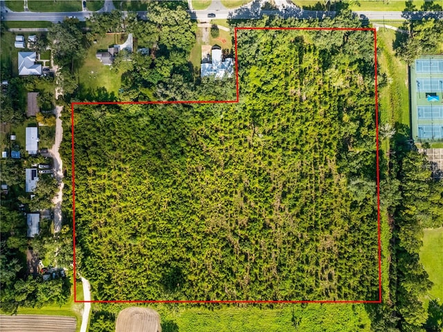 0 SE 15th St, Gainesville, FL 32641 - photo 3