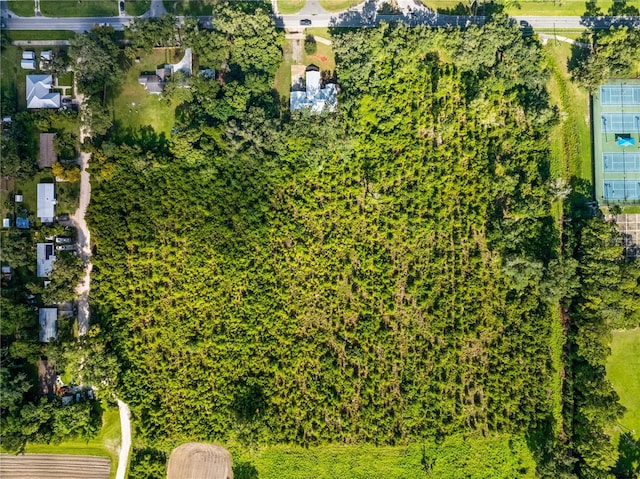 0 SE 15th St, Gainesville, FL 32641 - photo 12