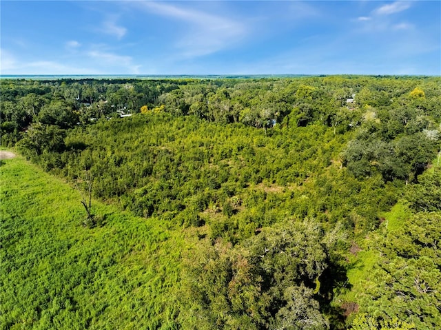 0 SE 15th St, Gainesville, FL 32641 - photo 16