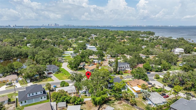 2906 W Averill Ave, Tampa, FL 33611 - photo 29