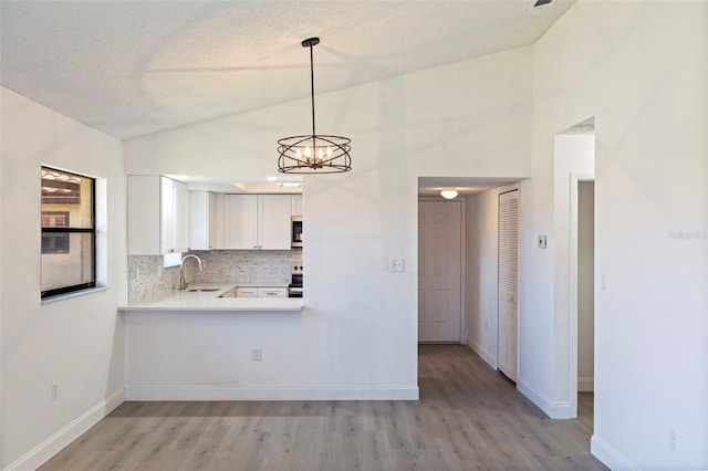 809 Hammock Pine Blvd, Clearwater, FL 33761 - photo 6