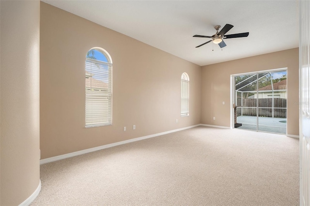 10019 Oxford Chapel Dr, Tampa, FL 33647 - photo 13