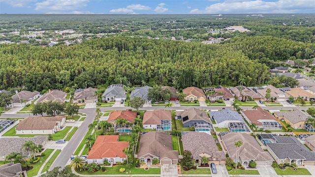 10019 Oxford Chapel Dr, Tampa, FL 33647 - photo 25