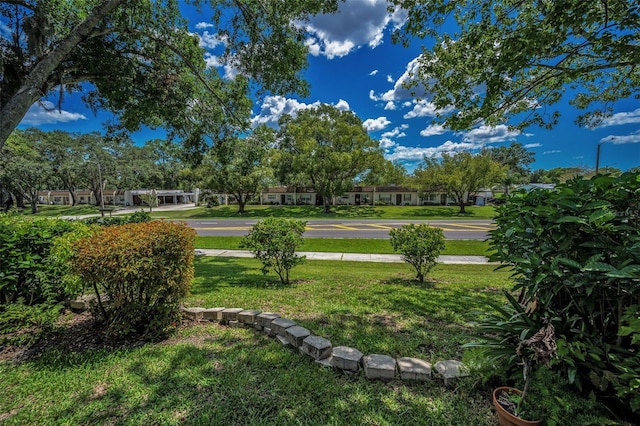1334 Glengarry Dr, Palm Harbor, FL 34684 - photo 52