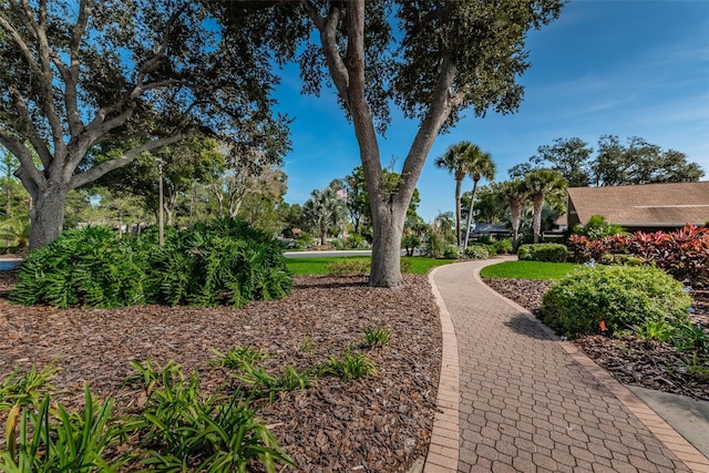 1334 Glengarry Dr, Palm Harbor, FL 34684 - photo 58