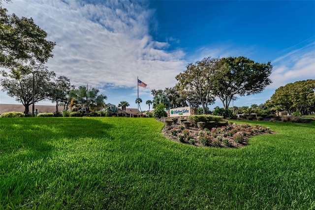1334 Glengarry Dr, Palm Harbor, FL 34684 - photo 88