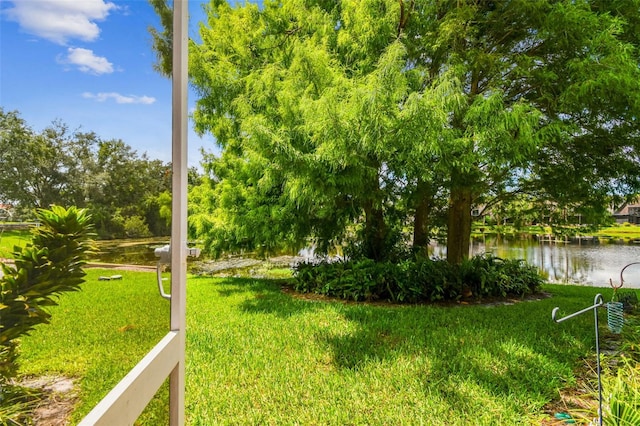 4222 Arborwood Ln, Tampa, FL 33624 - photo 44