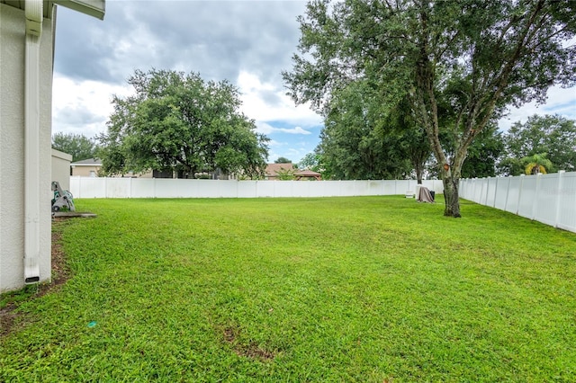 12407 Creek Edge Dr, Riverview, FL 33579 - photo 50