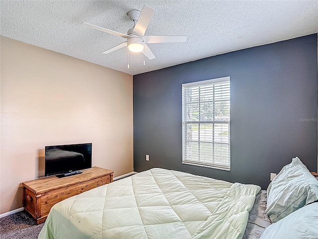 11100 Salt Tree Dr, Port Richey, FL 34668 - photo 42