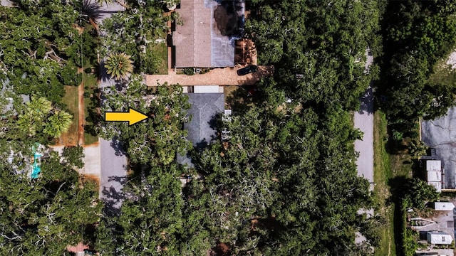 525 Broadway, Dunedin, FL 34698 - photo 11