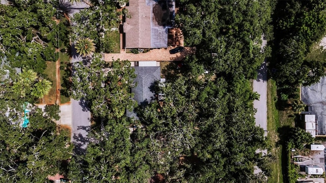 525 Broadway, Dunedin, FL 34698 - photo 12