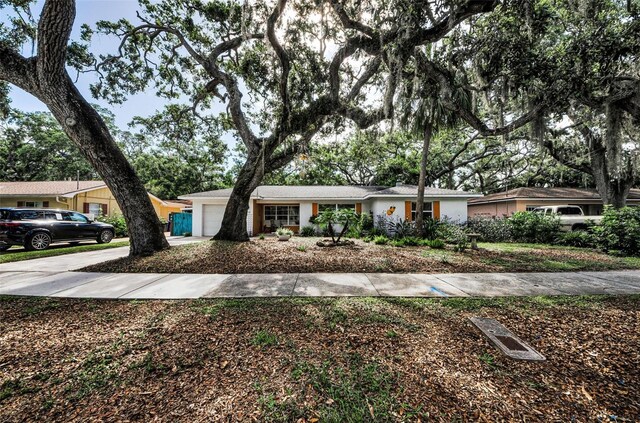 525 Broadway, Dunedin, FL 34698 - photo 13