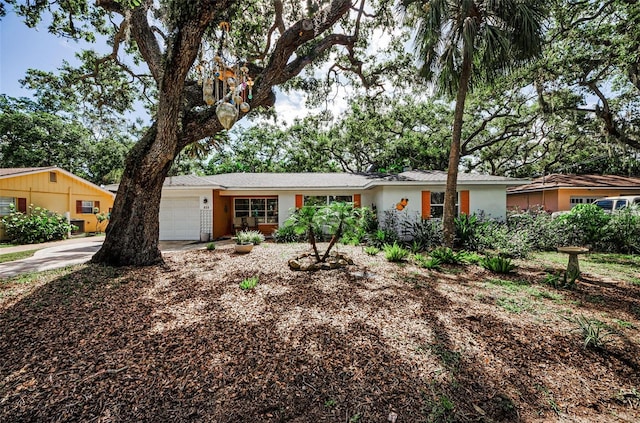 525 Broadway, Dunedin, FL 34698 - photo 15