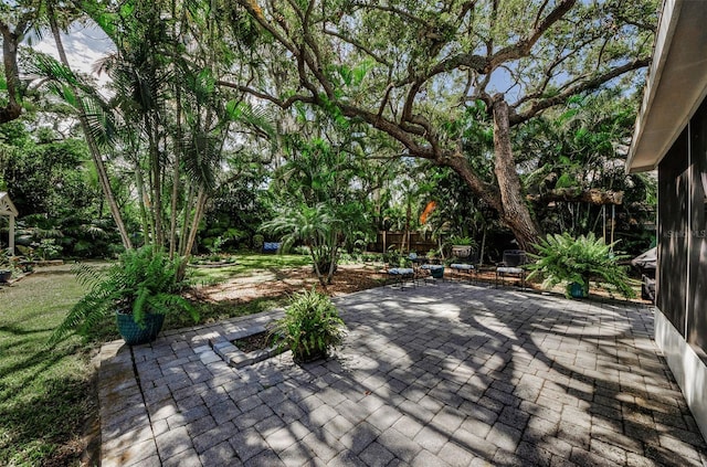 525 Broadway, Dunedin, FL 34698 - photo 51