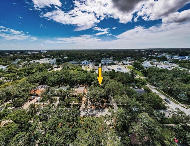 525 Broadway, Dunedin, FL 34698 - photo 53