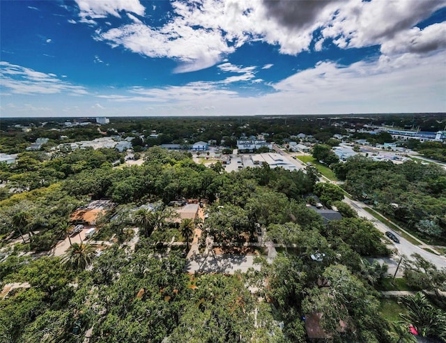 525 Broadway, Dunedin, FL 34698 - photo 55