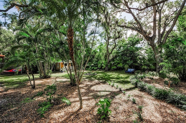 525 Broadway, Dunedin, FL 34698 - photo 56