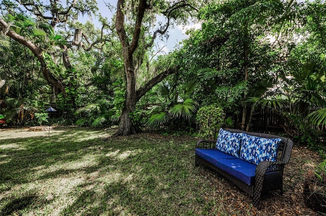 525 Broadway, Dunedin, FL 34698 - photo 57