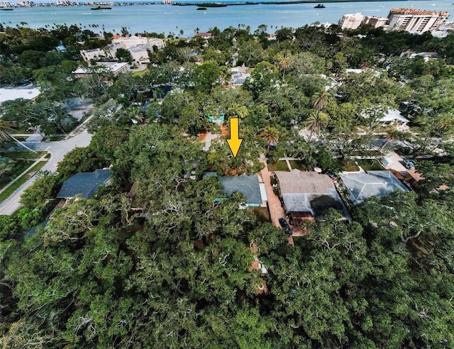 525 Broadway, Dunedin, FL 34698 - photo 63