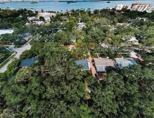 525 Broadway, Dunedin, FL 34698 - photo 64