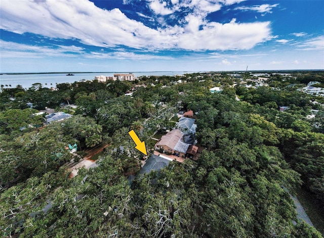 525 Broadway, Dunedin, FL 34698 - photo 67