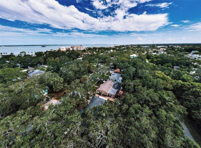 525 Broadway, Dunedin, FL 34698 - photo 68