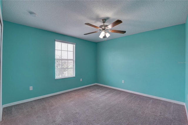 10202 Strawberry Tetra Dr, Riverview, FL 33578 - photo 22