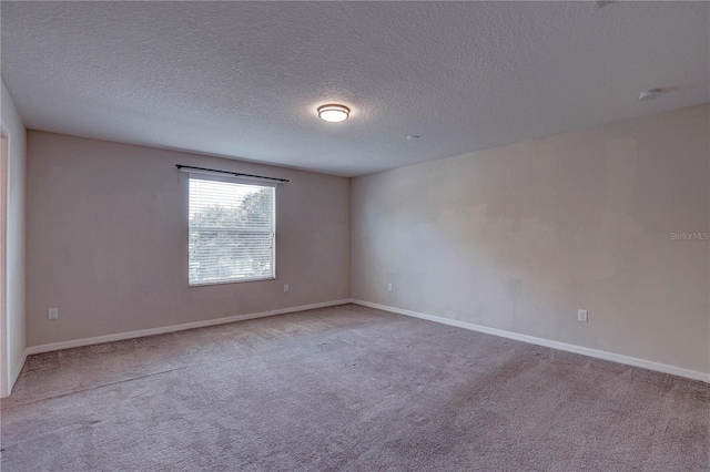 10202 Strawberry Tetra Dr, Riverview, FL 33578 - photo 25