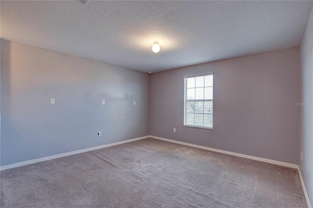10202 Strawberry Tetra Dr, Riverview, FL 33578 - photo 28