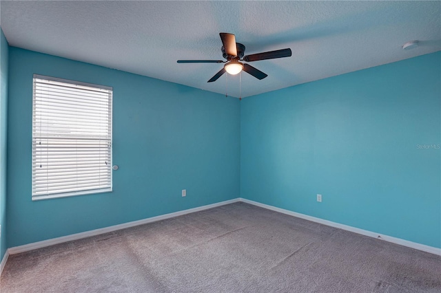 10202 Strawberry Tetra Dr, Riverview, FL 33578 - photo 31