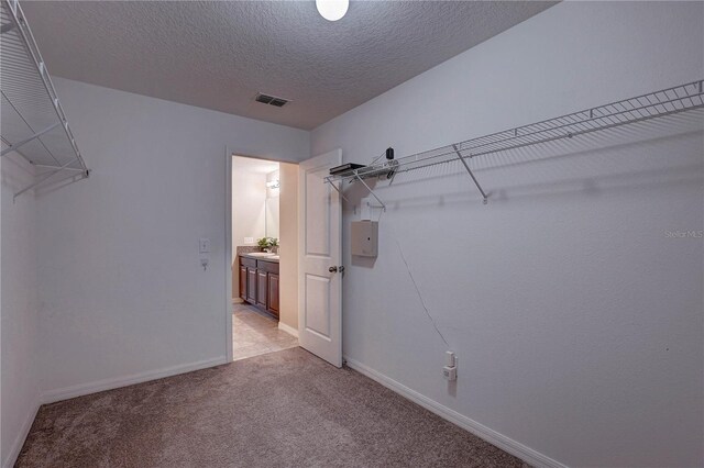 10202 Strawberry Tetra Dr, Riverview, FL 33578 - photo 39