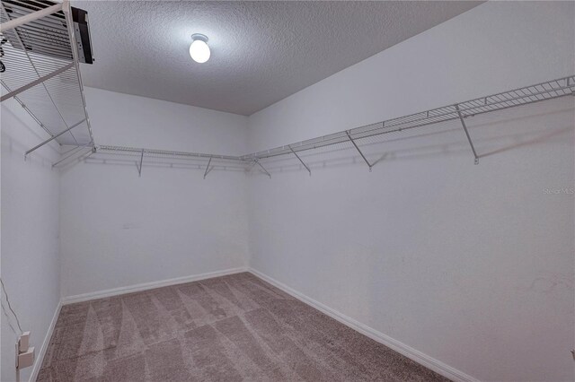 10202 Strawberry Tetra Dr, Riverview, FL 33578 - photo 40
