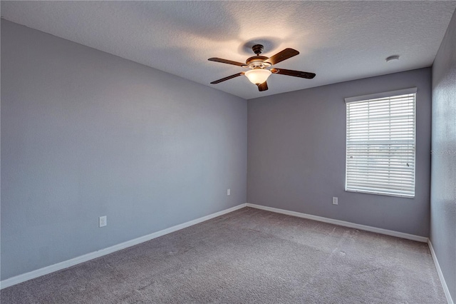 10202 Strawberry Tetra Dr, Riverview, FL 33578 - photo 41