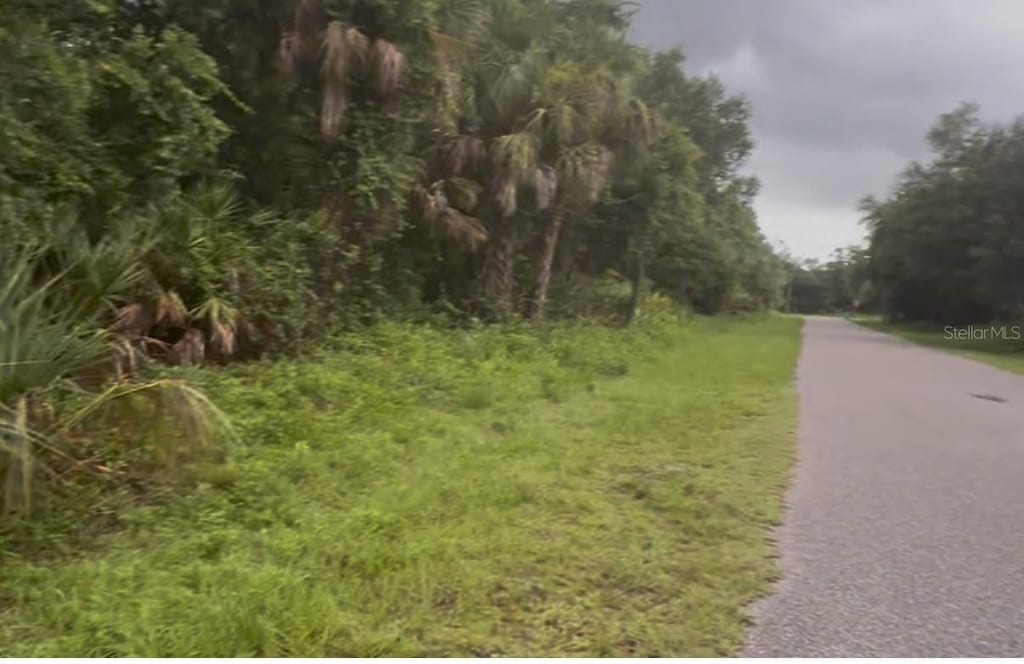 18432 Buttercup Ave, Port Charlotte, FL 33954 - photo 2