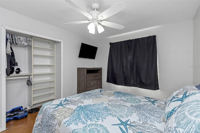 10316 61st Ct N, Pinellas Park, FL 33782 - photo 28
