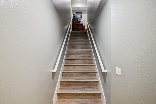 206 S Arrawana Ave Unit 3, Tampa, FL 33609 - photo 12