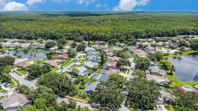 5433 Worthington Loop, Palm Harbor, FL 34685 - photo 29