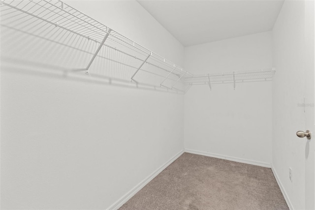 16671 Kingman Reef St, Wimauma, FL 33598 - photo 22