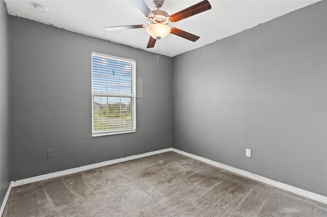 16671 Kingman Reef St, Wimauma, FL 33598 - photo 26