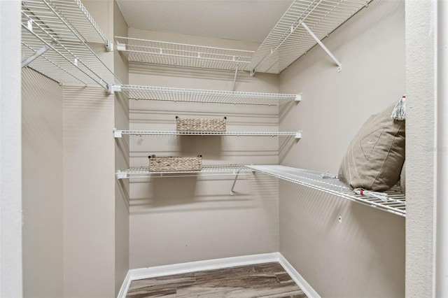 1708 Country Trails Dr, Safety Harbor, FL 34695 - photo 41