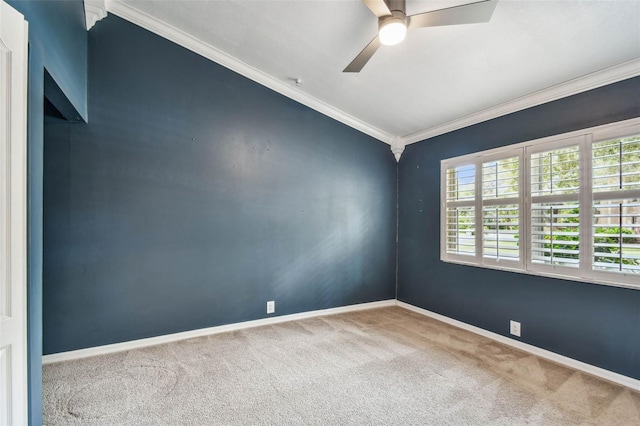 1708 Country Trails Dr, Safety Harbor, FL 34695 - photo 42